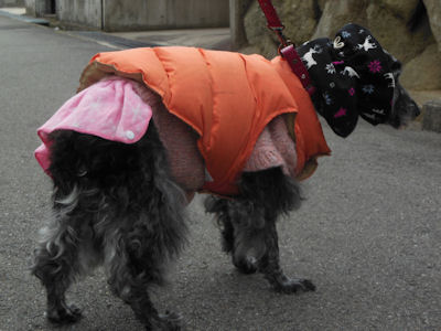 DSCN1563.JPG