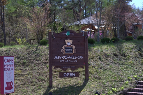 テディ1.jpg