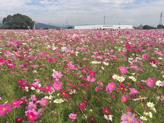 キリンビール園20151015.jpg