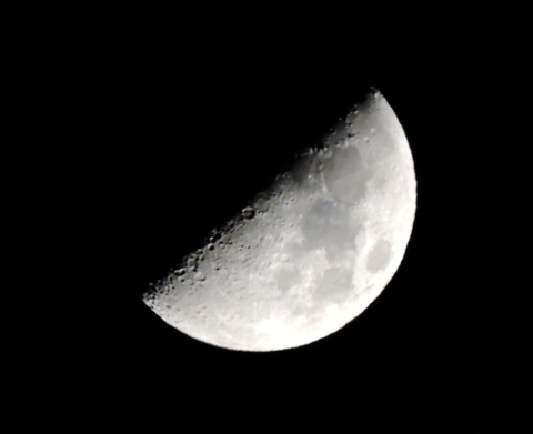 DSCN0730.JPG