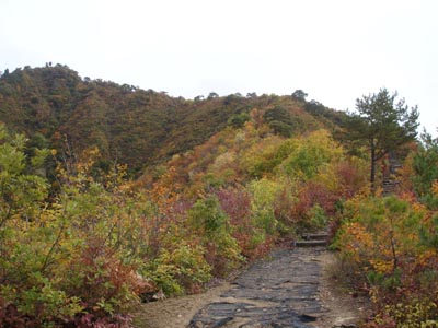 山