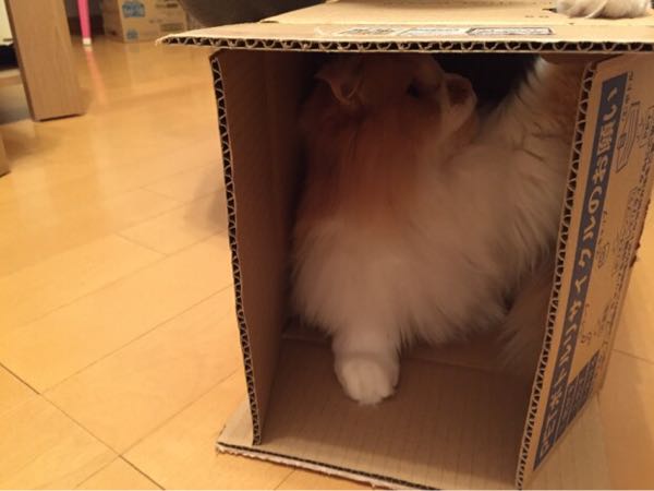 rblog-20160215162141-01.jpg
