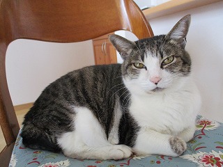 IMG_4505ss.jpg