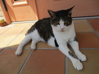 IMG_9911ss.jpg