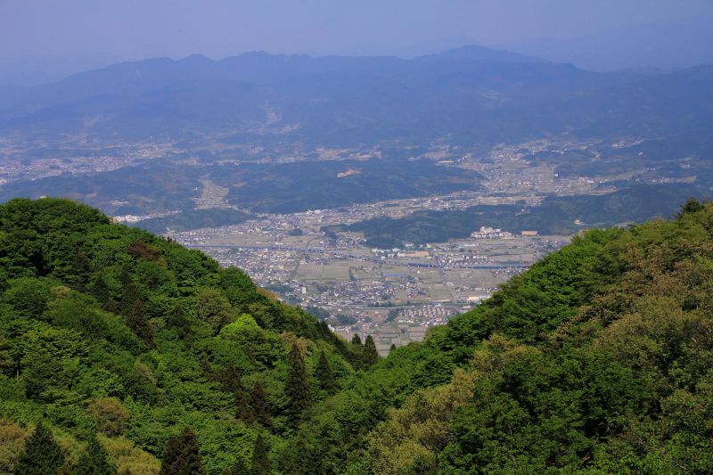 1,958－初夏の葛城山その1 | Huちゃん 写真日記 - 楽天ブログ