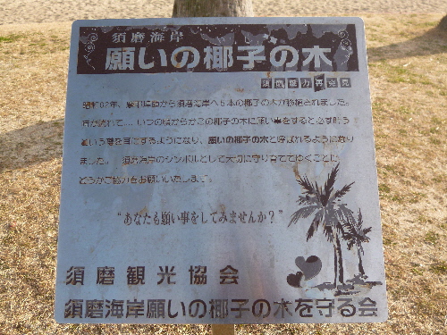 P1150198(1).JPG
