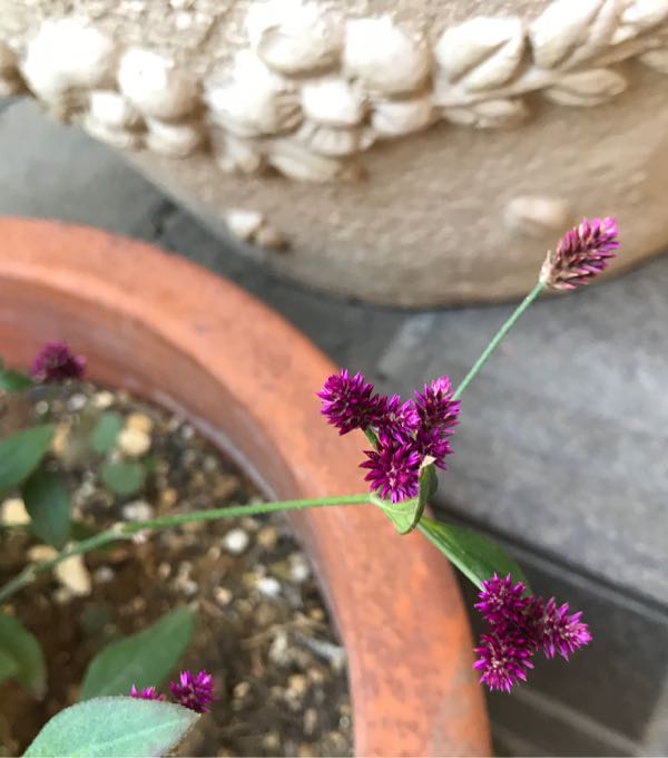 rblog-20181029111459-08.jpg