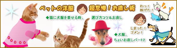 猫に犬服着せる時,犬猫洋服簡単お直し術