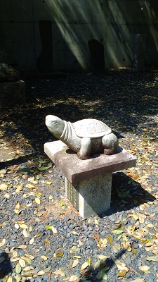 小さい亀さん