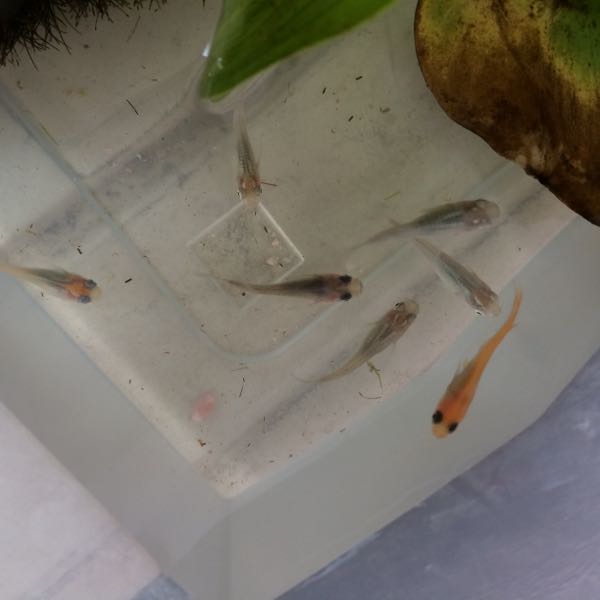 rblog-20150916084419-01.jpg