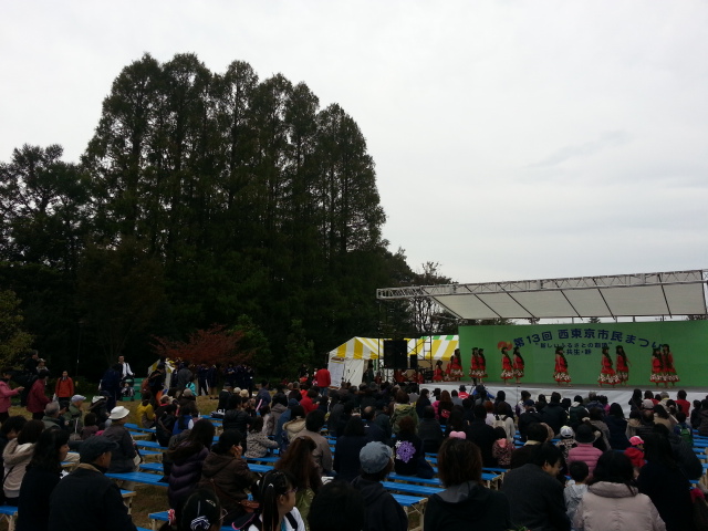 20131110ｽﾃｰｼﾞ横の大木.jpg