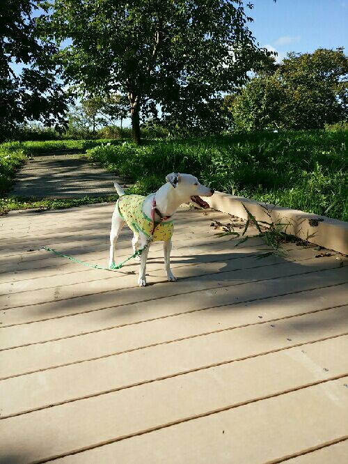 rblog-20150920212115-01.jpg
