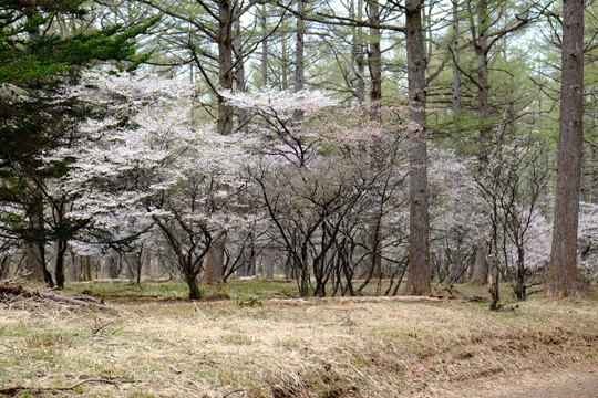 2016 04 20_3571.jpg