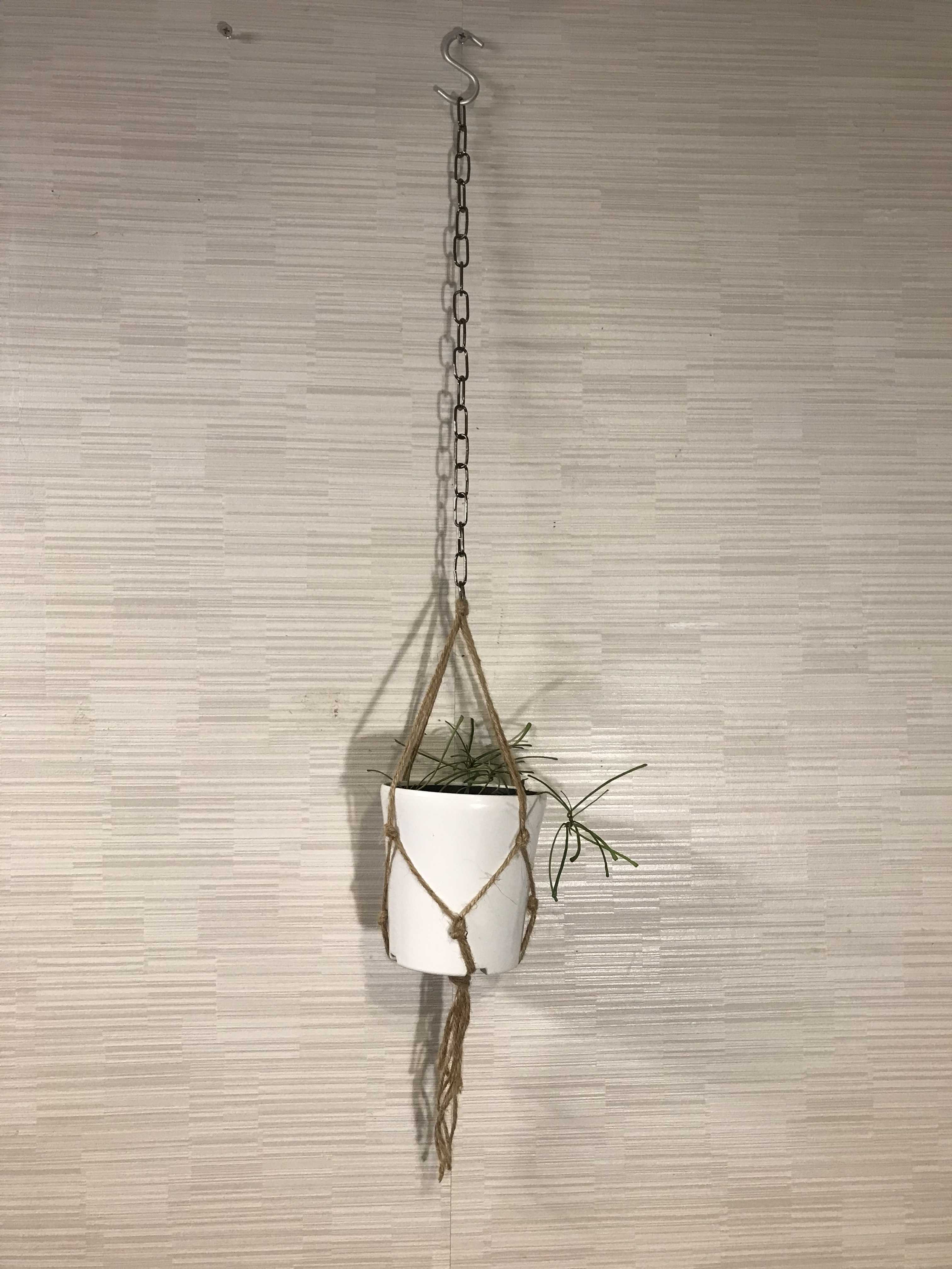 Youtubeに動画を上げました １０分で出来るプラントハンガーの作り方 字幕で解説が入ります というタイトルです ペトペンチア 妻と二人の自宅園芸店 ラクマに出品するまでを紹介 楽天ブログ