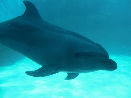 水族館　4.jpg