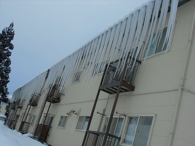例会 008.jpg