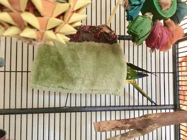 rblog-20190116204957-01.jpg