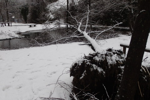 nitijou150110009