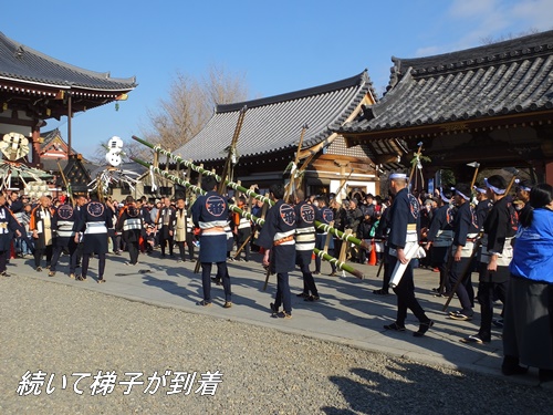 はしご乗り奉納