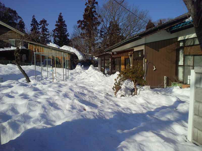 別宅の雪。