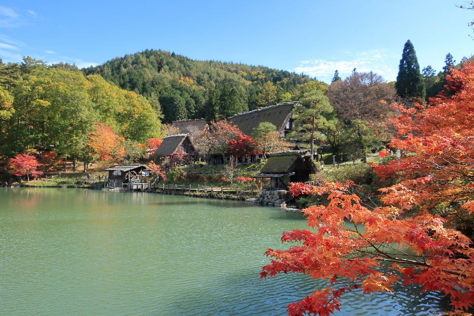 紅葉の飛騨の里