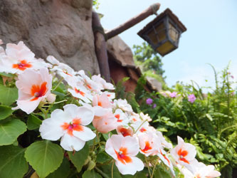 Flower111