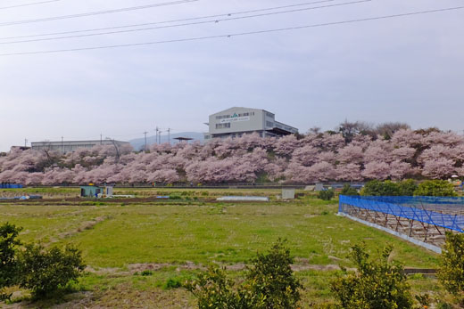 DSCF2237.jpg