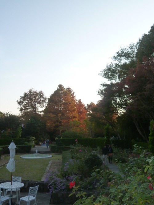 P1140152(1).JPG