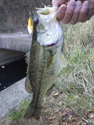 3月30日 ハマ四式（34センチ）.JPG