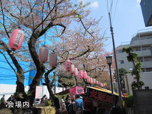 馬込文士村大桜まつり