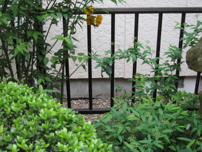 20120422e