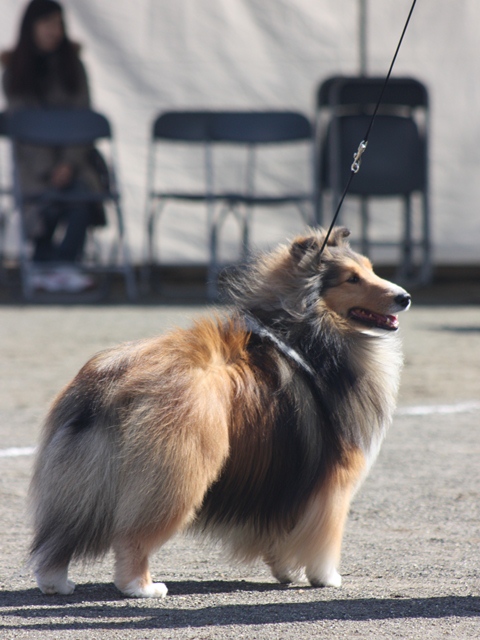IMG_1027 - コピー.JPG
