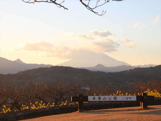二宮町 吾妻山公園の菜の花と夕焼けの富士山 2 2 おじん０５２３のヒロ散歩 楽天ブログ