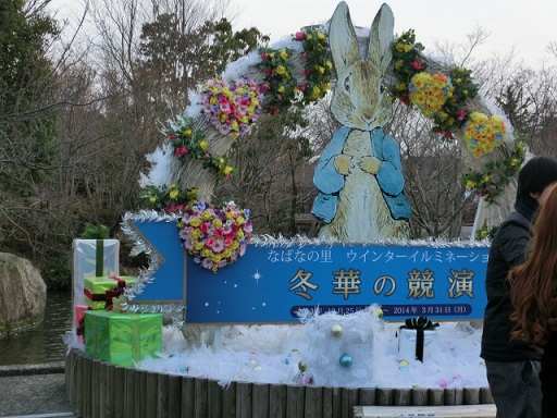 CIMG0488.JPG