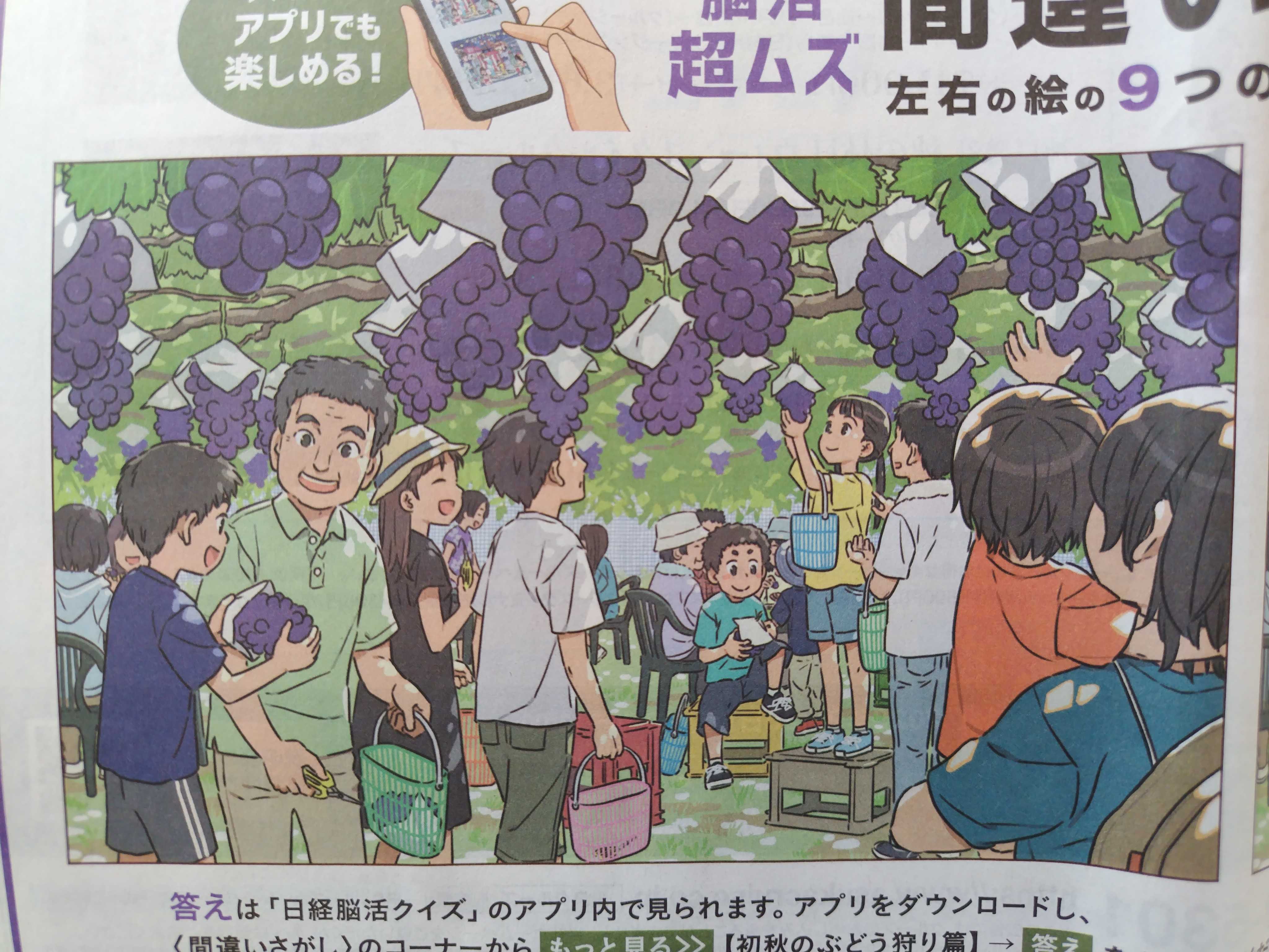 間違いさがし 初秋のぶどう狩り篇 | 読書しませんか。 - 楽天ブログ