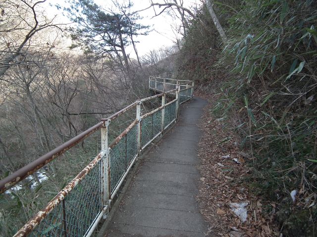 DSCF6384.JPG