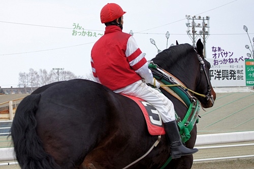 ハヤテショウリキ