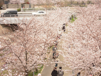 130402-3.jpg