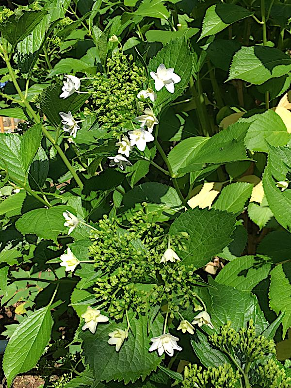 rblog-20180603201030-03.jpg