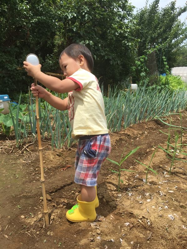 rblog-20160627000824-09.jpg