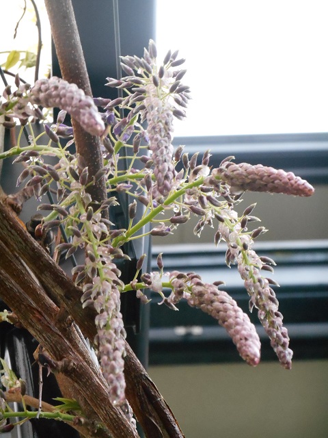 DSCN1529.JPG