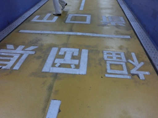 CIMG0707.JPG