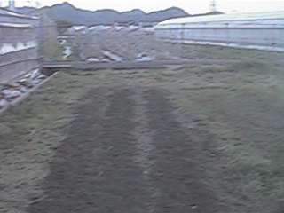 土被せ2