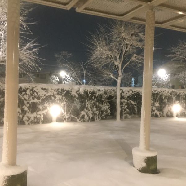 rblog-20180126212607-01.jpg