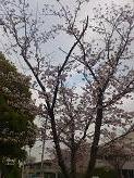 DSC 0559.JPG