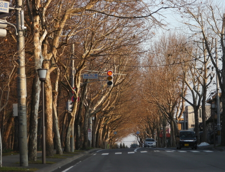 11-29saka&street (1).JPG