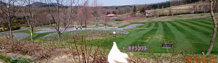 ４／２５由仁ガーデン裏庭.jpg