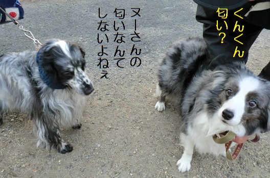 しない