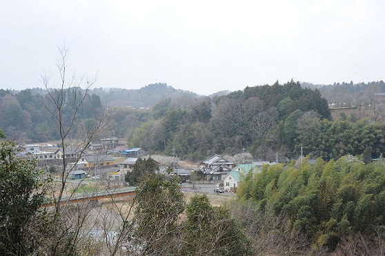 2013.3.18 031.JPG