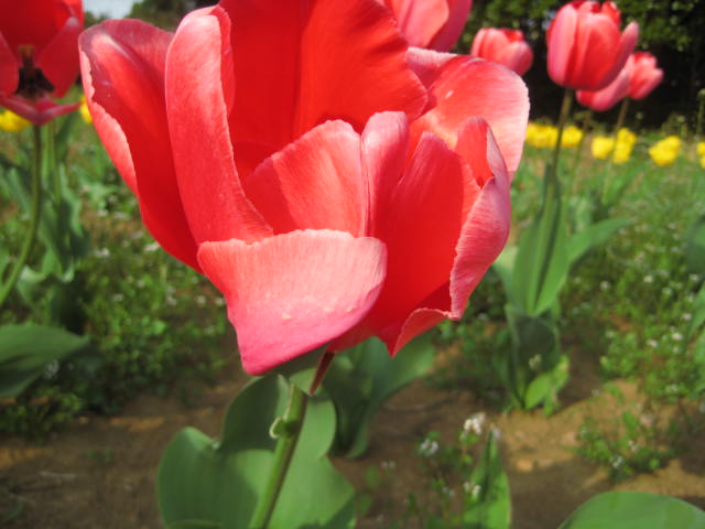 IMG_3581.JPG